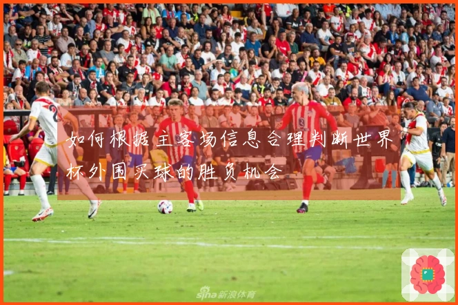 如何根据主客场信息合理判断世界杯外围买球的胜负机会
