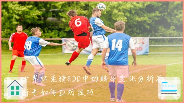 世界杯竞猜app中的赔率变化分析及新手如何应对技巧