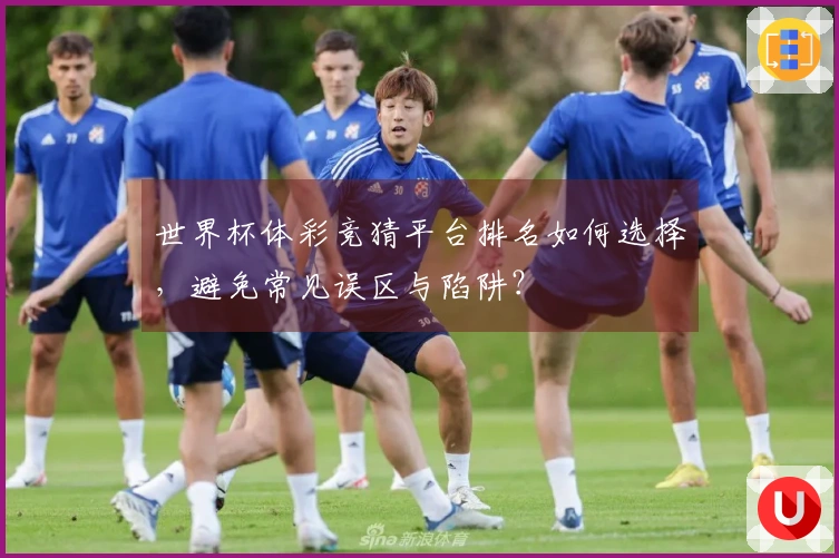 世界杯体彩竞猜平台排名如何选择，避免常见误区与陷阱？