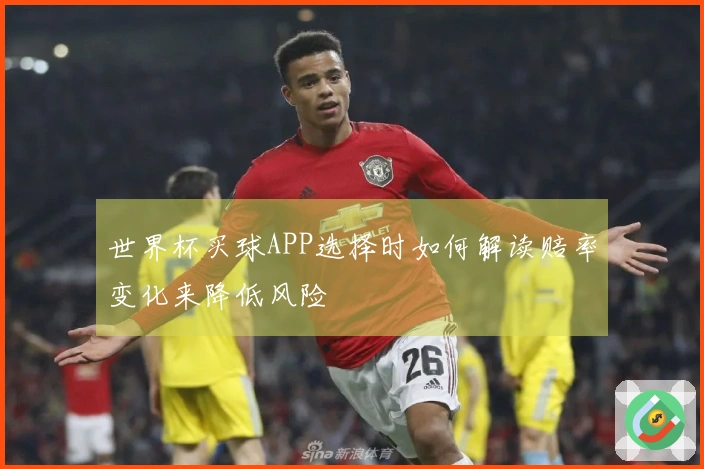 世界杯买球APP选择时如何解读赔率变化来降低风险