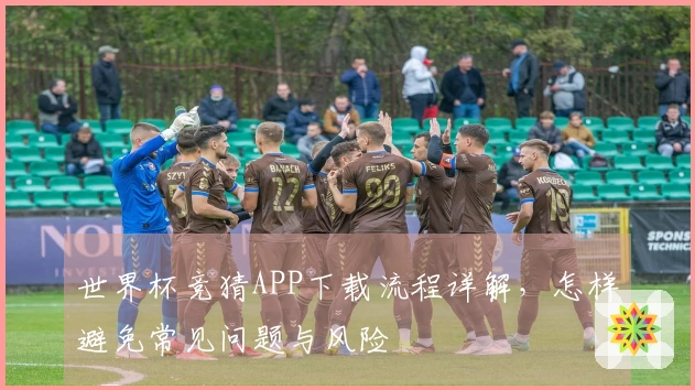 世界杯竞猜APP下载流程详解，怎样避免常见问题与风险