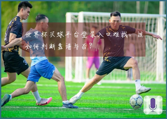 世界杯买球平台登录入口难找，该如何判断靠谱与否？