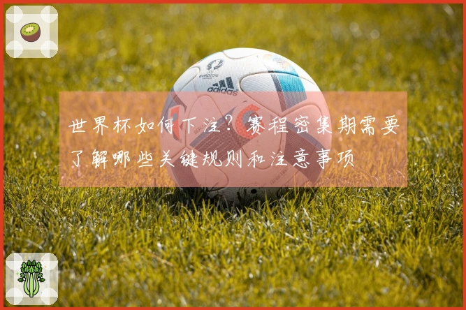 世界杯如何下注？赛程密集期需要了解哪些关键规则和注意事项