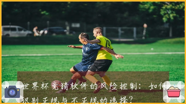 世界杯竞猜软件的风险控制：如何识别正规与不正规的选择？
