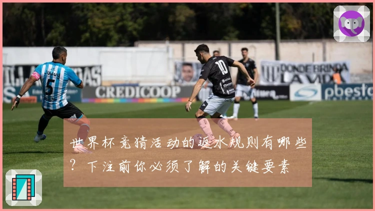 世界杯竞猜活动的返水规则有哪些？下注前你必须了解的关键要素