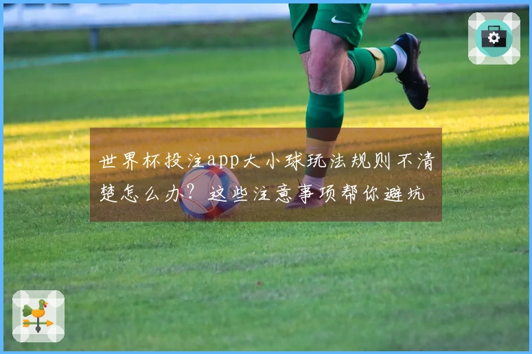 世界杯投注app大小球玩法规则不清楚怎么办？这些注意事项帮你避坑