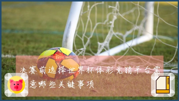 决赛前选择世界杯体彩竞猜平台需注意哪些关键事项