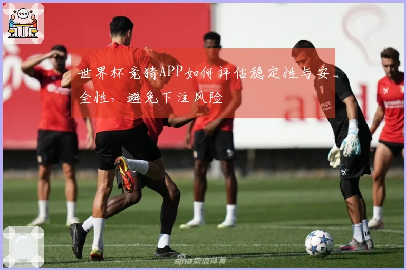 世界杯竞猜APP如何评估稳定性与安全性，避免下注风险