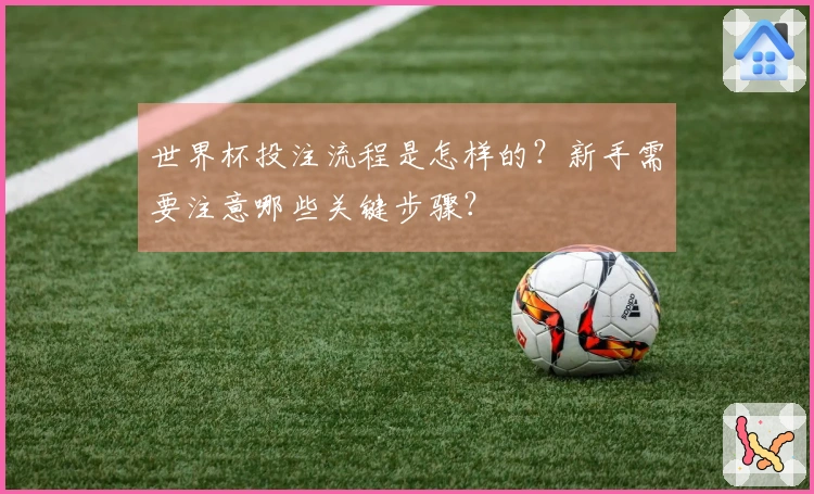 世界杯投注流程是怎样的？新手需要注意哪些关键步骤？