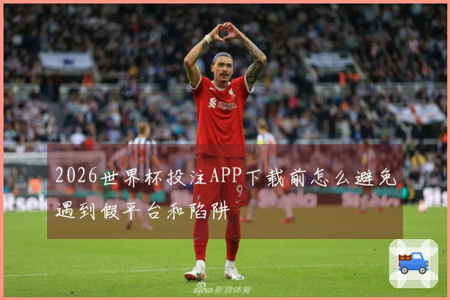 2026世界杯投注APP下载前怎么避免遇到假平台和陷阱