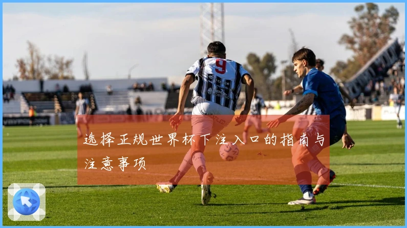 选择正规世界杯下注入口的指南与注意事项