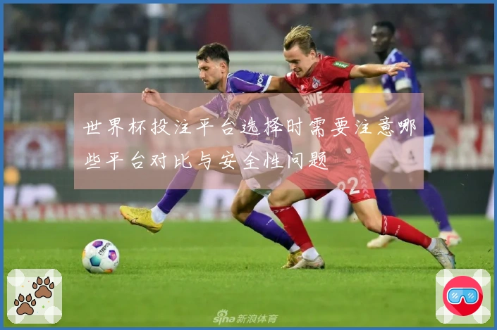 世界杯投注平台选择时需要注意哪些平台对比与安全性问题