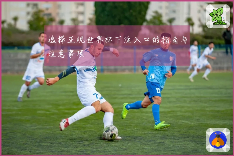 选择正规世界杯下注入口的指南与注意事项