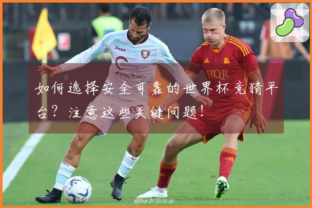如何选择安全可靠的世界杯竞猜平台？注意这些关键问题！