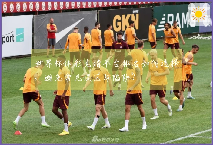 世界杯体彩竞猜平台排名如何选择，避免常见误区与陷阱？