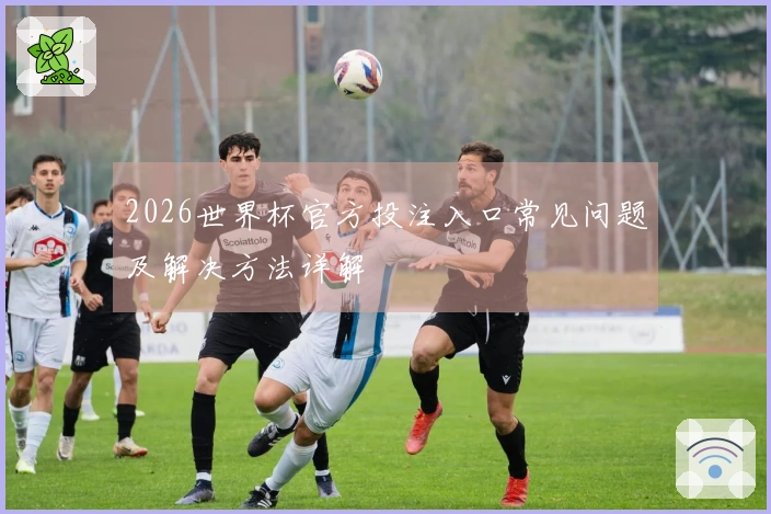 2026世界杯官方投注入口常见问题及解决方法详解
