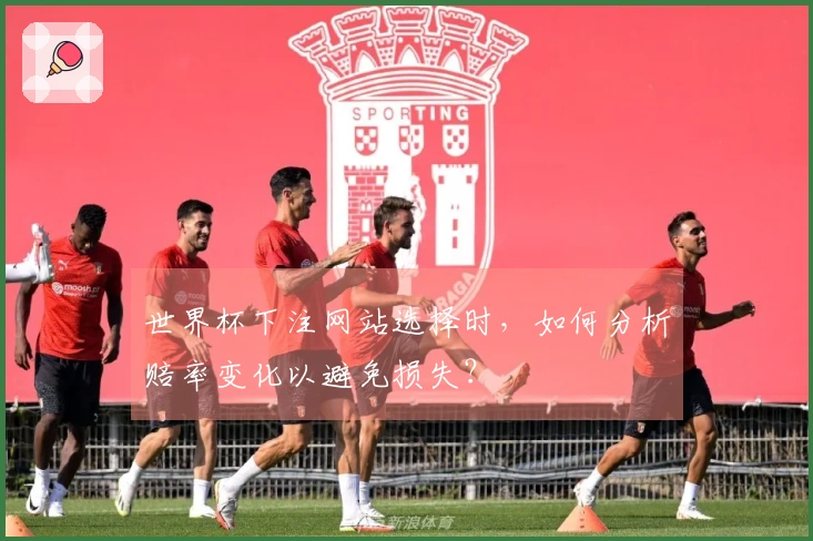世界杯下注网站选择时，如何分析赔率变化以避免损失？