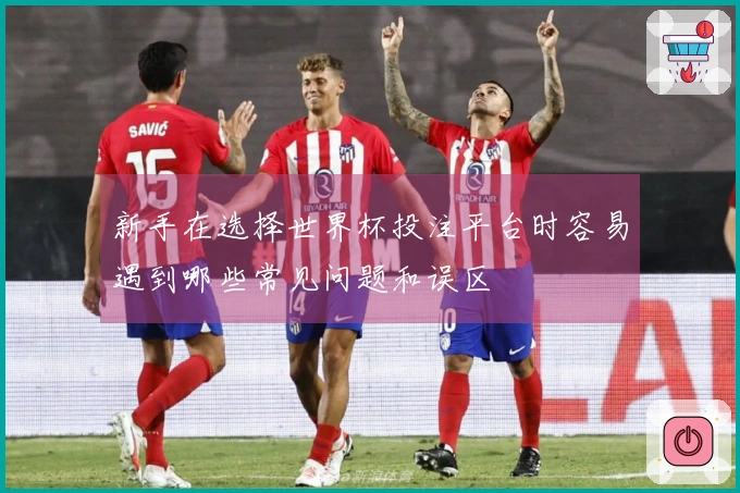 新手在选择世界杯投注平台时容易遇到哪些常见问题和误区