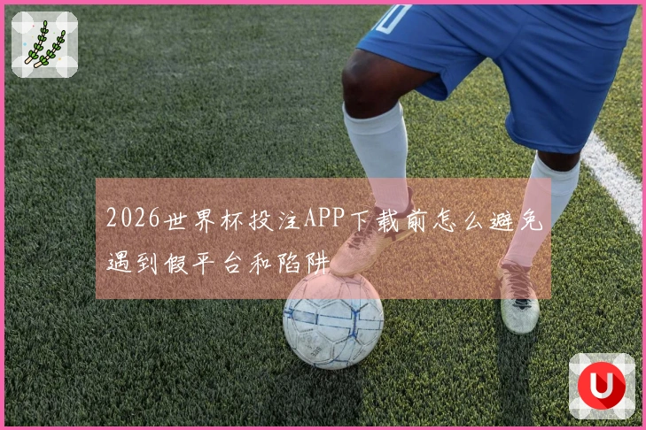 2026世界杯投注APP下载前怎么避免遇到假平台和陷阱