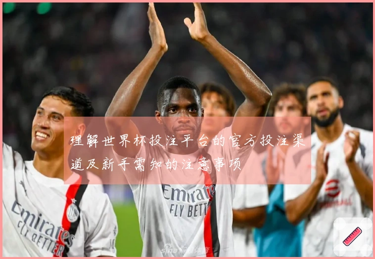 理解世界杯投注平台的官方投注渠道及新手需知的注意事项